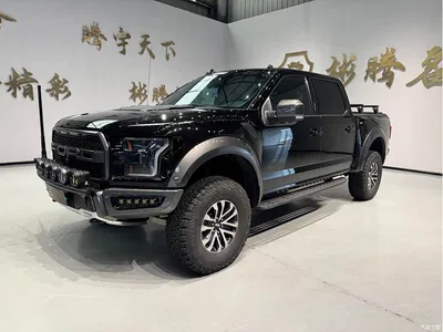2019 Ford F-150 Raptor 3.5T Raptor Performance Enhanced Edition, фото 2, лот 11141102