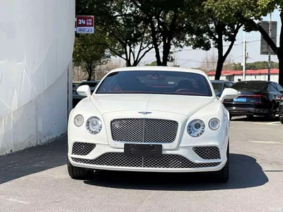 2017 Bentley Continental Gt, фото 3, лот 10246038