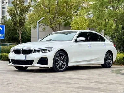2021 BMW 3 Series Facelift 325Li M Sport Package, фото 1, лот 11579622