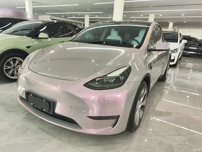 2021 Tesla Model Y Standard Range Rear-Wheel Drive, фото 1, лот 11301252