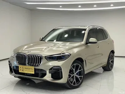 2019 BMW X5 (Import) xDrive40i Exclusive M Sport Package, фото 1, лот 10238741