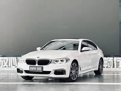 2019 BMW 5 Series 530Li Premium M Sport Package, фото 1, лот 10770815