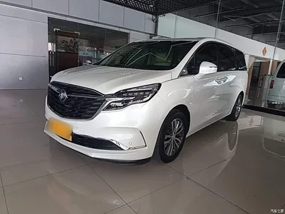 2022 Buick GL8 ES Landmark 653T Premium, фото 2, лот 10260133