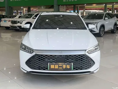 2023 BYD Qin PLUS Champion Edition DM-i 120KM Excellence, фото 2, лот 10362975