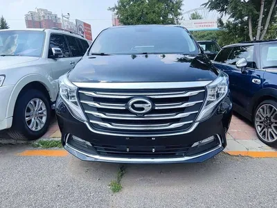 2019 GAC Trumpchi Trumpchi M8 320T Ultimate Edition, фото 3, лот 10417839