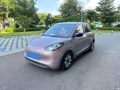 2023 Wuling Motors Wuling Bingo 333km Quick Enjoy Version, фото 1, лот 10367261