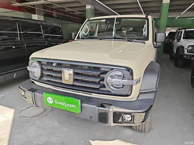 2025 Tank 300 New Energy Hi4-T, фото 2, лот 10345440