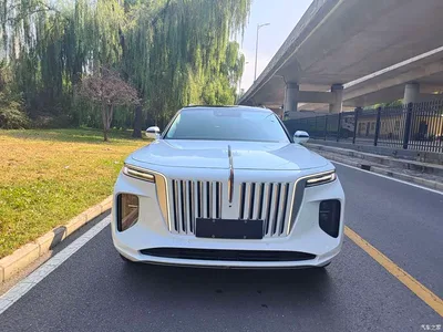 2022 Hongqi E-HS9 690km Qi Xiang Edition (6-seater), фото 2, лот 10394593