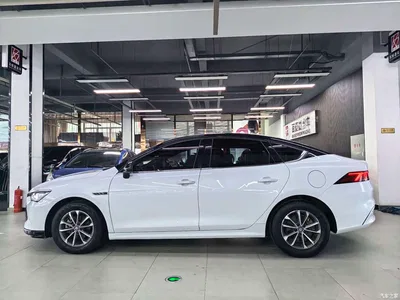 2023 BYD Qin PLUS Champion Edition DM-i 55KM Leading, фото 3, лот 10363040