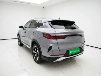2021 BYD Song PLUS PHEV DM-i 110KM Flagship PLUS, фото 4, лот 11217217