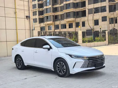 2024 BYD Destroyer 05 Glory Edition DM-i 55KM Luxury, фото 3, лот 10246703