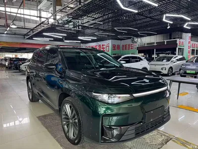 2024 Leapmotor C16 Pure Electric 520 Premium Edition, фото 3, лот 10318044
