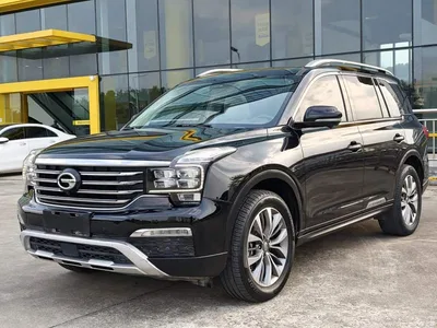 2017 GAC Trumpchi Trumpchi GS8 320T 2WD Luxury Smart Connect (7-seater), фото 1, лот 10424003
