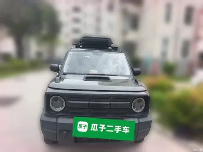 2024 Geely Galaxy Panda 200km Panda Knight, фото 2, лот 10768577