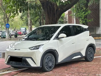 2023 BYD Seagull Vitality Edition, фото 1, лот 10256685