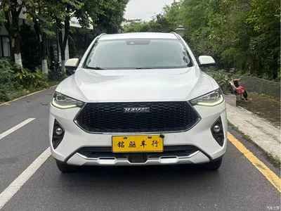 2019 Haval F7 1.5T 2WD i-Trend China VI, фото 2, лот 10299160