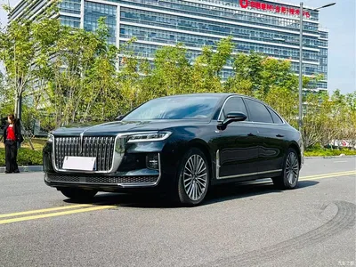 2020 Hongqi H9 3.0T Smart Connection Qi Chang Edition, фото 1, лот 11536240
