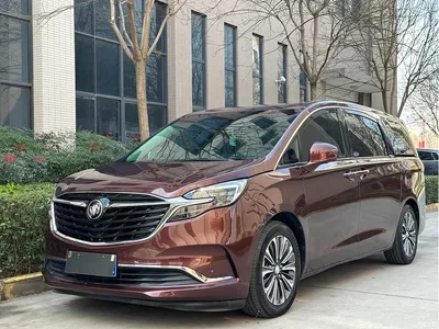 2022 Buick GL8 ES Landmark 653T Luxury, фото 1, лот 10250296