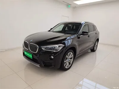 2019 BMW X1 sDrive20Li Leading Model, фото 2, лот 10467832