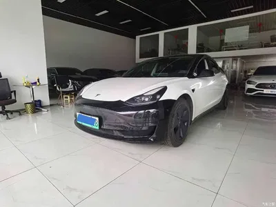 2022 Tesla Model 3 Model Rear-Wheel Drive Version, фото 1, лот 11187086