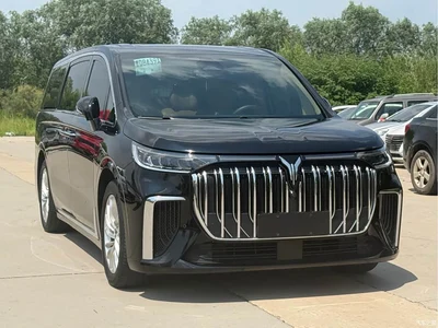 2024 Voyah Auto Voyah Dreamer PHEV Extended Range Premium Edition, фото 3, лот 10358724