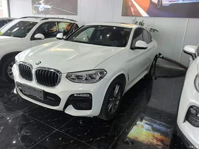 2019 BMW X4 xDrive25i M Sport Package, фото 2, лот 10476962