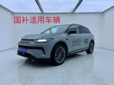 2024 Leapmotor C11 Extended Range 300 Premium Edition, фото 2, лот 10314853