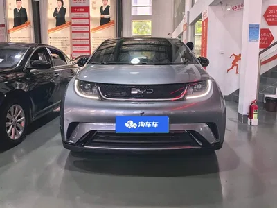 2023 BYD Dolphin 420km Fashion Edition, фото 2, лот 10768606