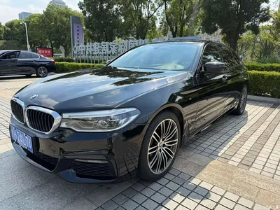 2018 BMW 5 Series Facelift 530Li Exclusive M Sport Package, фото 1, лот 10898836