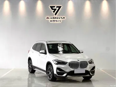 2020 BMW X1 sDrive20Li Premium Edition, фото 3, лот 10424186
