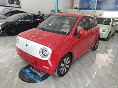 2019 Ora Black Cat 351km Goddess Edition, фото 1, лот 10330691