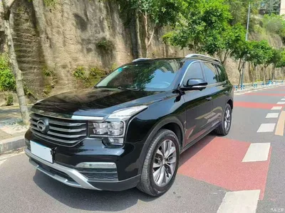 2017 GAC Trumpchi Trumpchi GS8 320T 2WD Luxury Smart Connect (7-seater), фото 1, лот 10415592