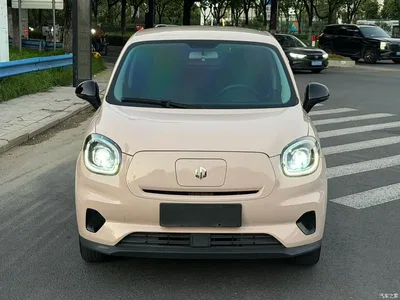 2022 Leapmotor T03 Special Edition, фото 2, лот 10316696