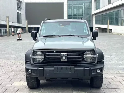 2021 Tank 300 Off-road Version 2.0T Conqueror, фото 2, лот 10374379
