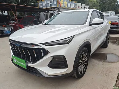 2021 Changan Oshan Changan Oushang X5 Facelift 1.5T DCT Luxury, фото 1, лот 11199938