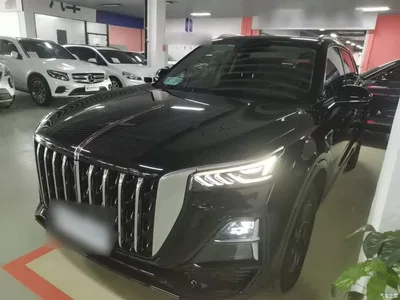 2023 Hongqi HS5 2.0T Flag Enjoy Pro Edition, фото 2, лот 10289280