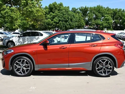 2019 BMW X2 (Import) sDrive25i Premium M Off-Road Package China VI, фото 2, лот 10599941