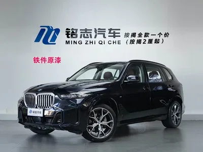 2023 BMW X5 xDrive 30Li Premium M Sport Black Night Package, фото 1, лот 10398586