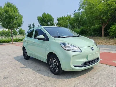 2021 Changan Benben E-Star National Edition Colorful Version LFP (31.95kWh), фото 3, лот 10251772