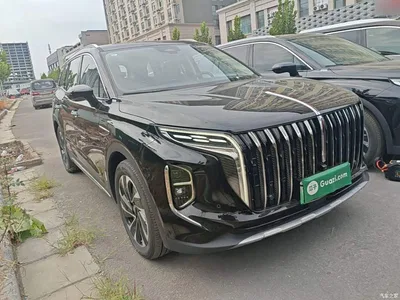 2024 Hongqi HS7 PHEV 2.0T PHEV AWD Qichang Edition 7-seater, фото 4, лот 10666841