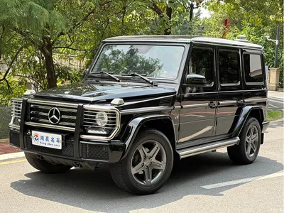 2017 Mercedes-Benz G-Class G 500, фото 1, лот 10295807