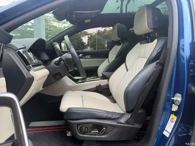 2022 BYD Tang New Energy EV 635KM AWD Flagship, фото 4, лот 10273939