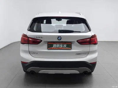 2018 BMW X1 xDrive20Li Premium Model, фото 4, лот 10684662