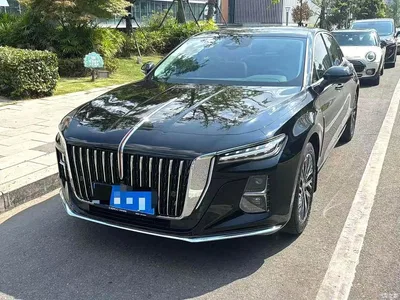 2025 Hongqi H5 2.0T Automatic Qixiang 500,000 Units Commemorative Edition, фото 2, лот 10289025