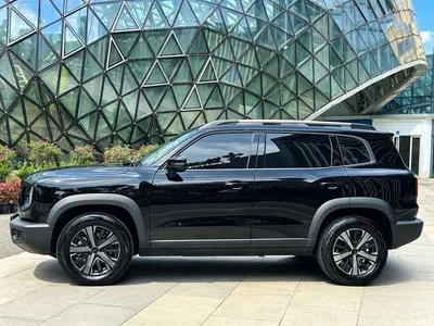 2022 Haval Big Dog 1.5T DCT FWD Border Collie Edition, фото 3, лот 11191263
