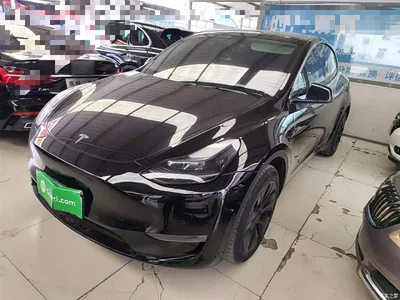 2023 Tesla Model Y Long Range All-Wheel Drive Edition, фото 2, лот 10374147