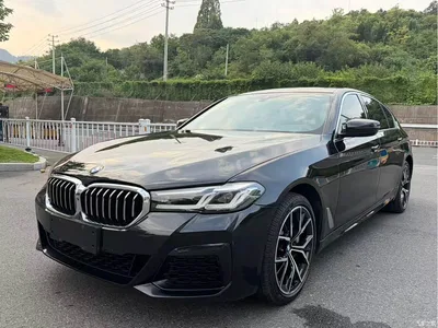 2022 BMW 5 Series 530Li Exclusive M Sport Package, фото 1, лот 11544300