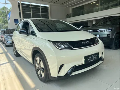 2025 BYD Dolphin 420km Vitality Edition, фото 3, лот 10593002