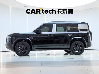 2025 Byd Titanium 7 AWD Base Model, фото 3, лот 10821718
