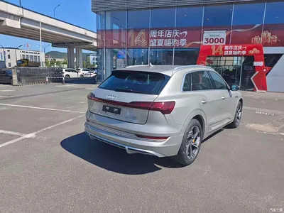 2021 Audi e-tron 50 quattro Exclusive Selection, фото 4, лот 11206254
